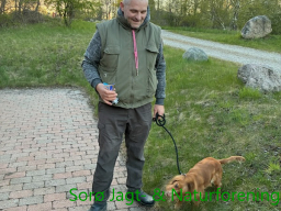 Hundetraening foraar 2026